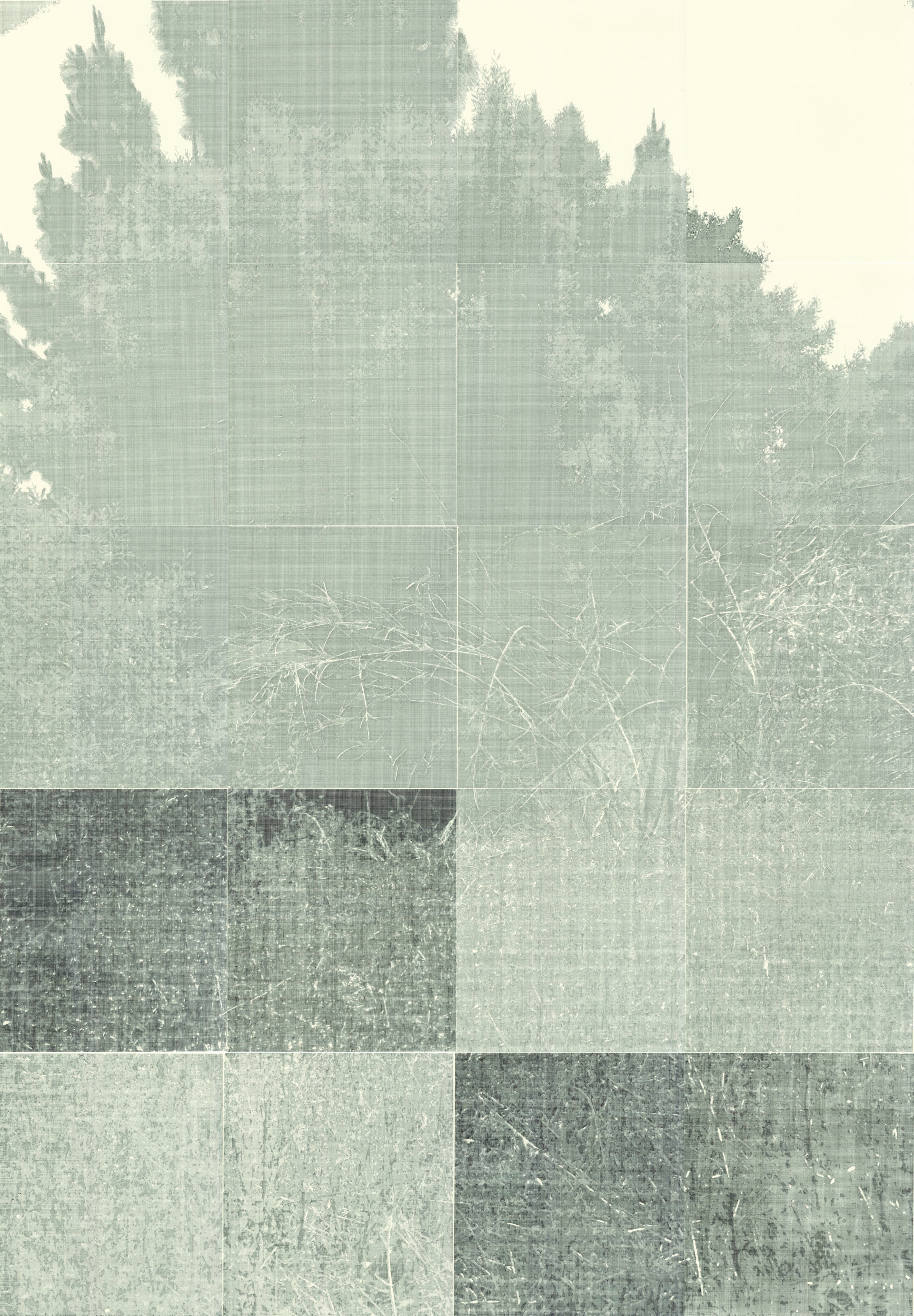 Tava Tedesco - Port of Long Beach (Cordylanthus maritimus ssp. Maritimus), Ballpoint pen 2024